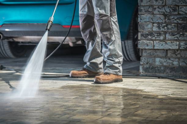 Best Pre-Holiday Cleaning  in Black Hammock, FL