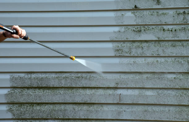 Best Solar Panel Cleaning  in Black Hammock, FL