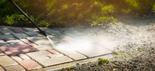 Best Animal Enclosure Cleaning  in Black Hammock, FL